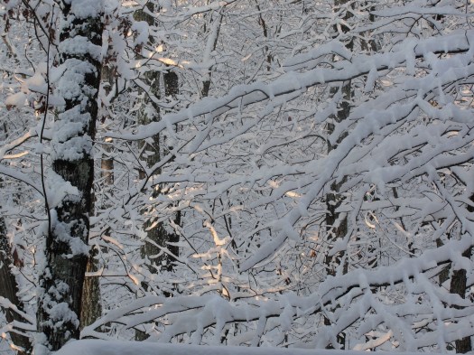 DSC01515PlayofLight Play of Light