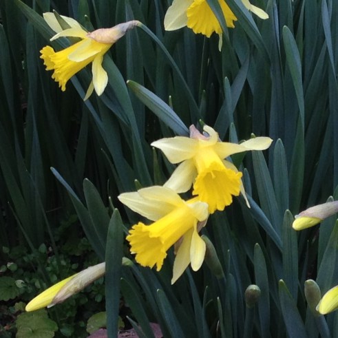 Spring "Is" Coming...!